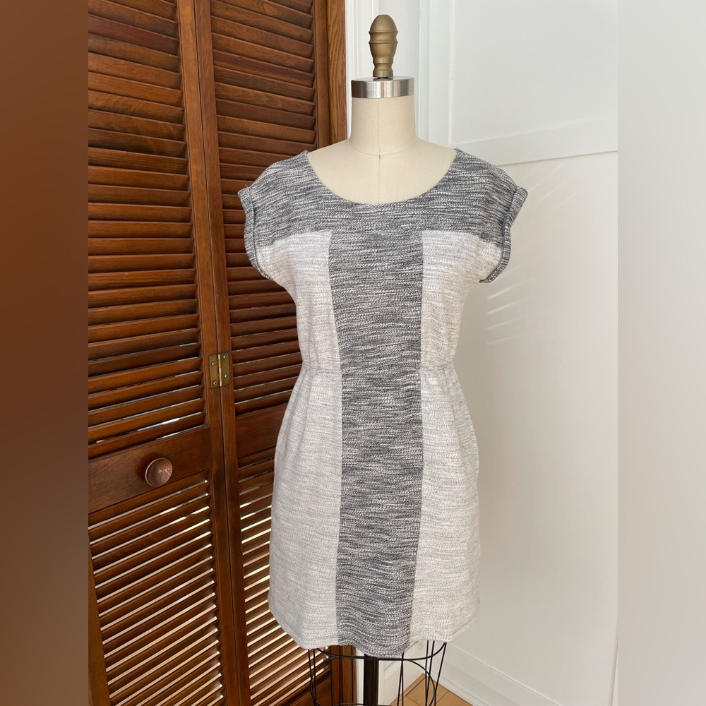 Anthropologie Sweatshirt Dress